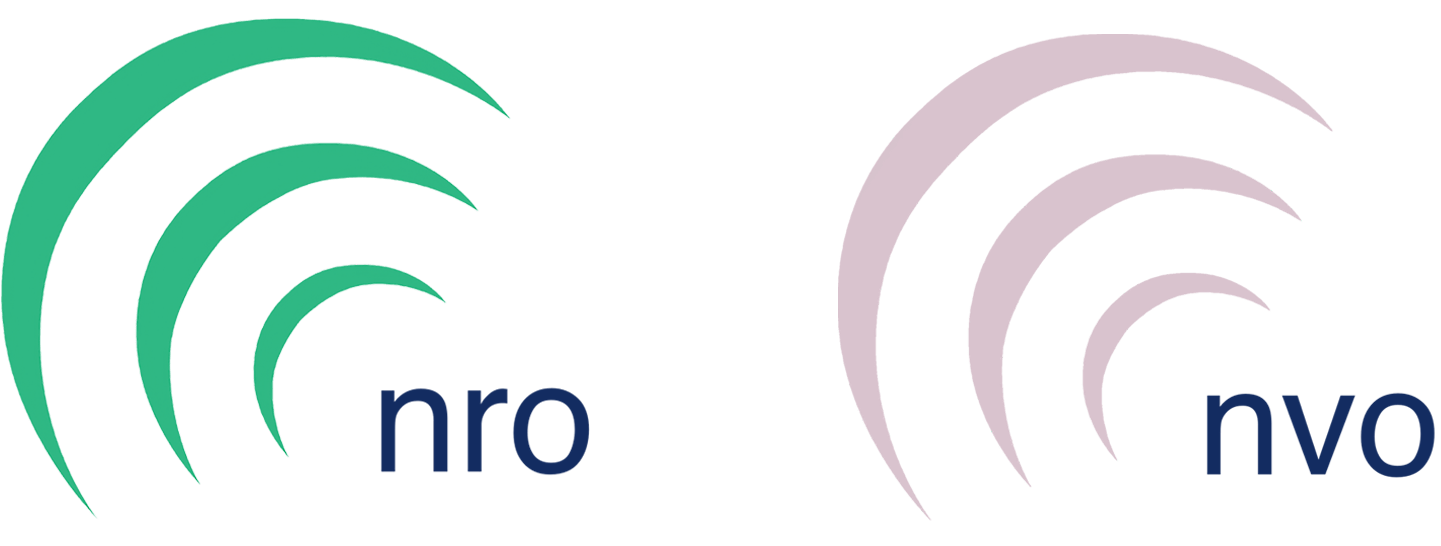 NRO en NVO logo